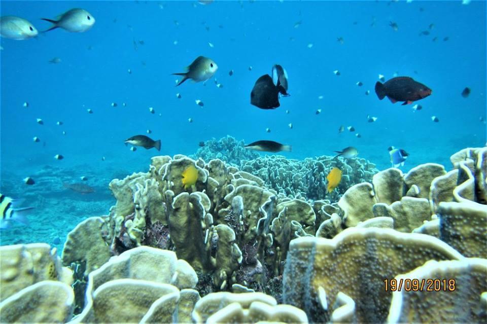 Pulau Weh Paradise 사방 외부 사진
