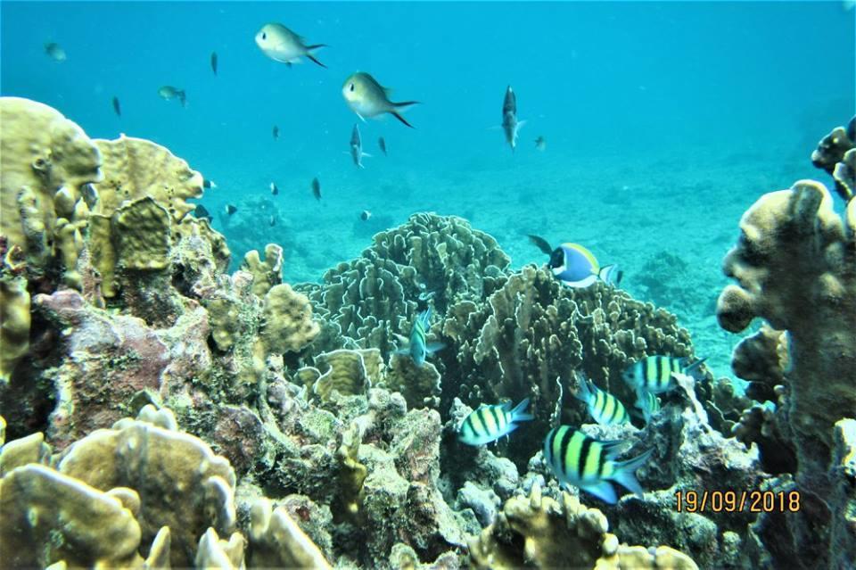 Pulau Weh Paradise 사방 외부 사진